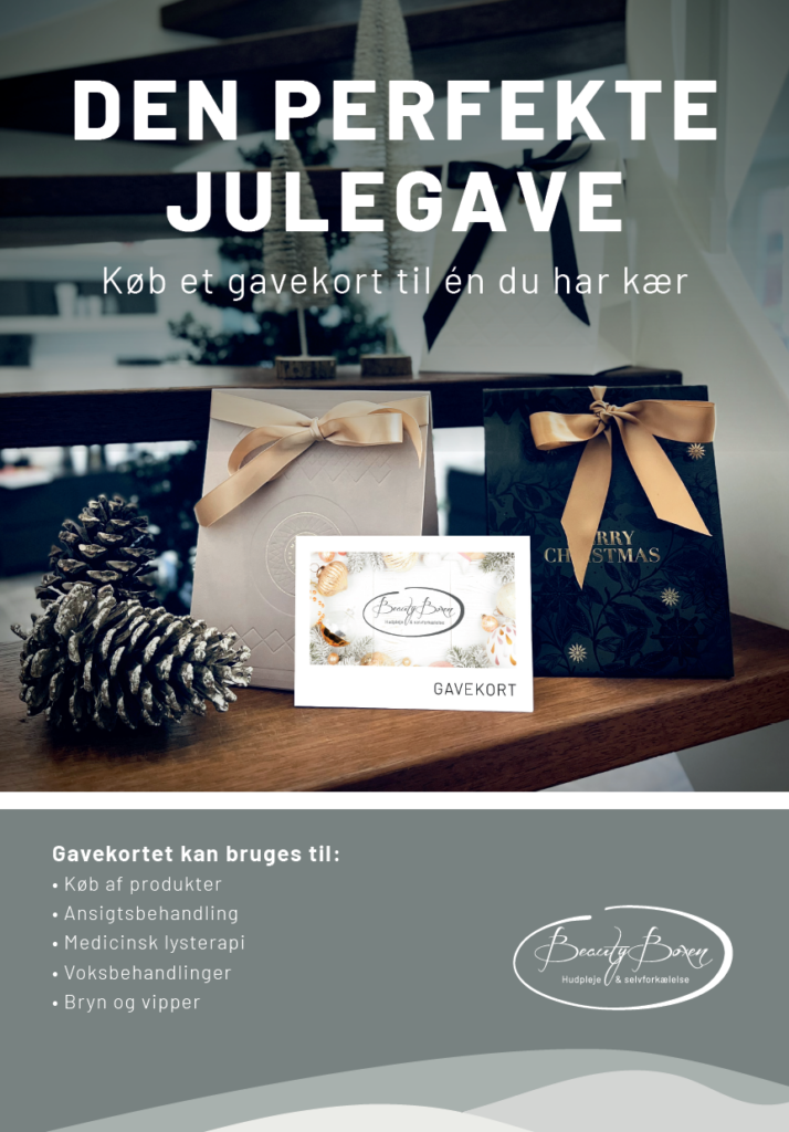 den perfekte julegave